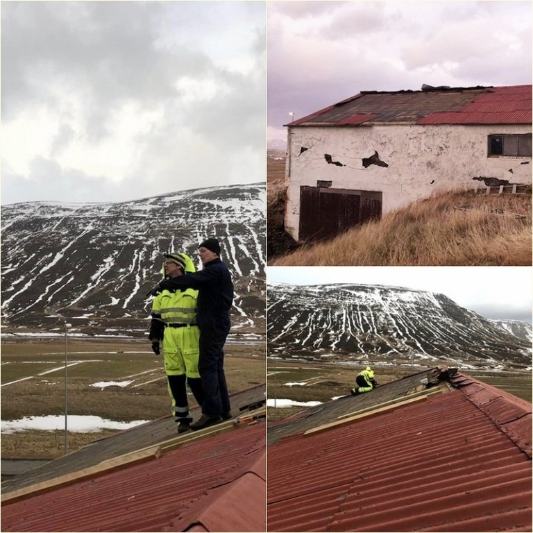 FRá Hólum í Hjaltadal. Myndir: Amber Christina Monroe.