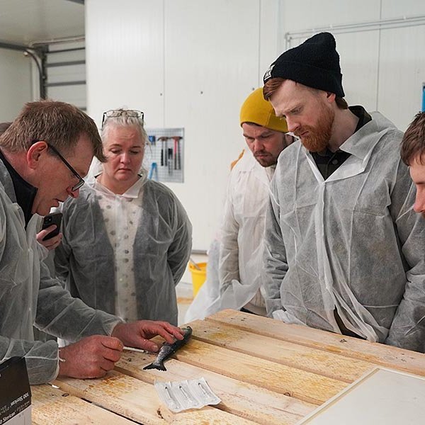 Nemendur og kennari fara yfir málin. MYND AF HÓLAR.IS