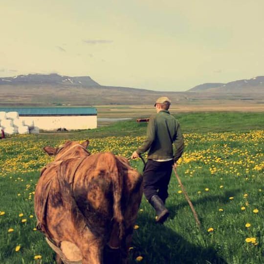 Mynd úr Blönduhlíð. Mynd: SMH