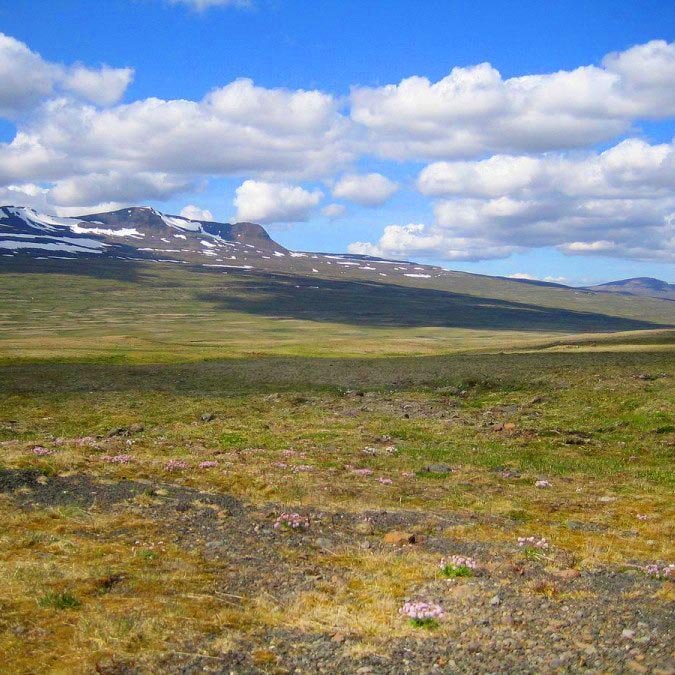 Af Holtavörðuheiði. MYND AF HÚNI.IS