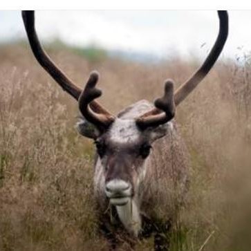 Mynd: Johannes Jansson/norden.org.