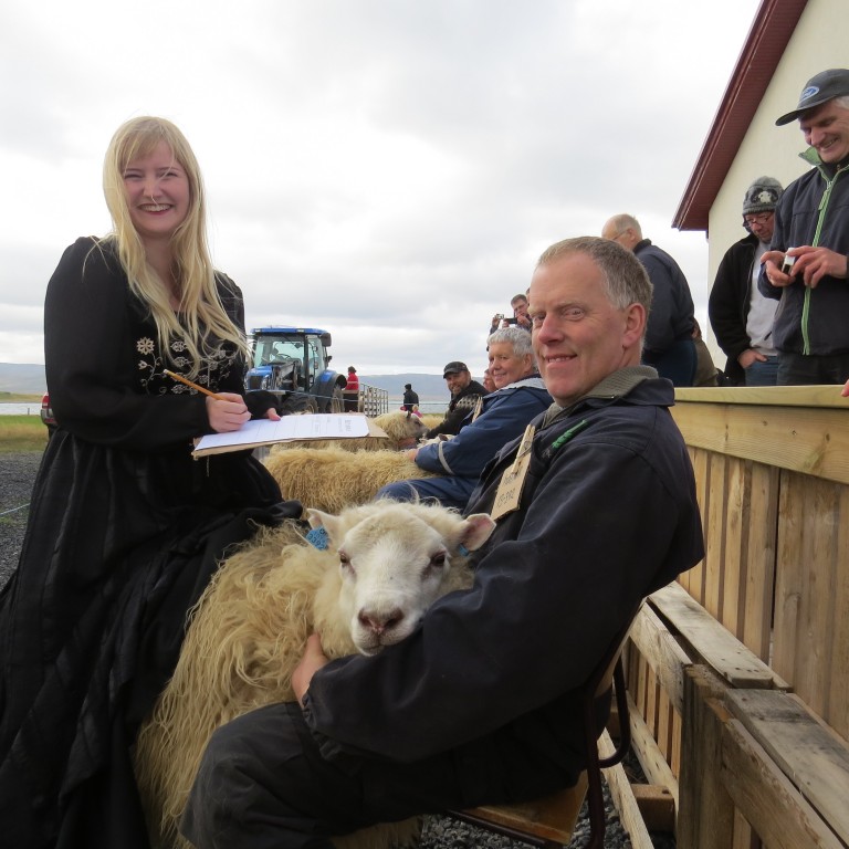 Íslandsmót í hrútadómum sunnudaginn 16. ágúst