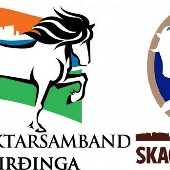 Æskulýðsnefnd Skagfirðings og HSS með uppskeruhátíð