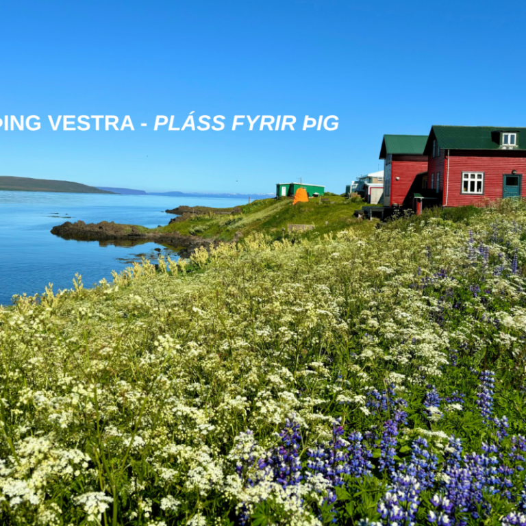 Frá Hvammstanga. MYND: SÓLVEIG HALLA