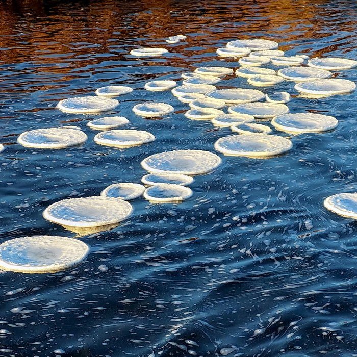 Það er algengt að óreglulega lagaðir hungurdiskar myndist í ísköldum sjónum en sjaldgæfara að sjá þá svo reglulega kringlótta líkt og á meðfylgjandi mynd sem tekin var á Skagaheiði um helgina. Mynd: Guðmundur Sveinsson.