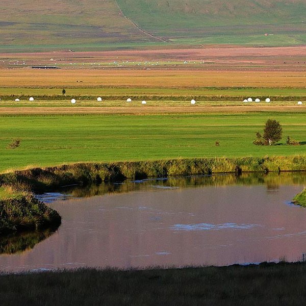 Húseyjarkvíslin hlykkjast lágstemmd framhjá Varmahlíð í Skagafirði. MYND: ÓAB