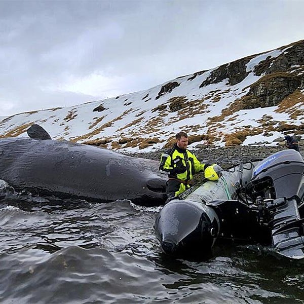 Áhafnarmeðlimir varðskipsins Freyju að störfum í fjörunni við Bessastaði. MYND AF VEF LHG