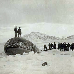 Hvalreki varð á Skagaströnd í janúar 1918, frostaveturinn mikla. Evald Hemmert, kaupmaður á Skagaströnd, tók myndina. Hvalurinn varð innlyksa í ísnum á Húnaflóa. Hér er hann dauður og snýr þaninn kviðurinn upp.