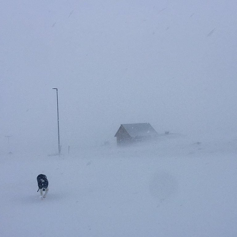 Svona var veðrið við Hvammshlíð í gær. MYNDIR: KARÓLÍNA