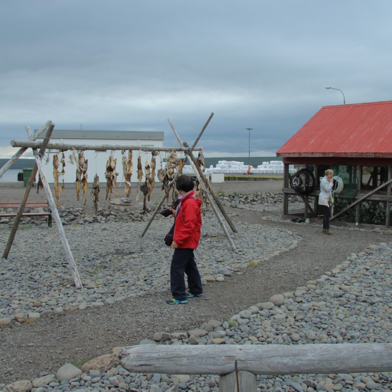 Frá Hvammstanga. Mynd: BÞ