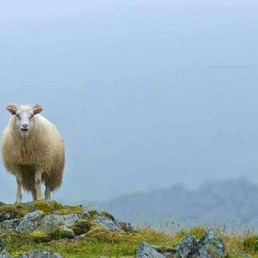 Ertu með hugmynd fyrir Ísland?