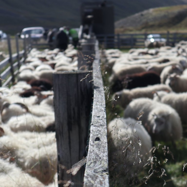 Myndin tengist frétt ekki. GG