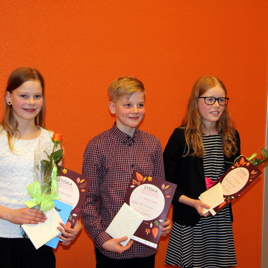 Verðlaunahafarnir Þórgunnur, Vignir Nói og Lydía. Mynd:FE