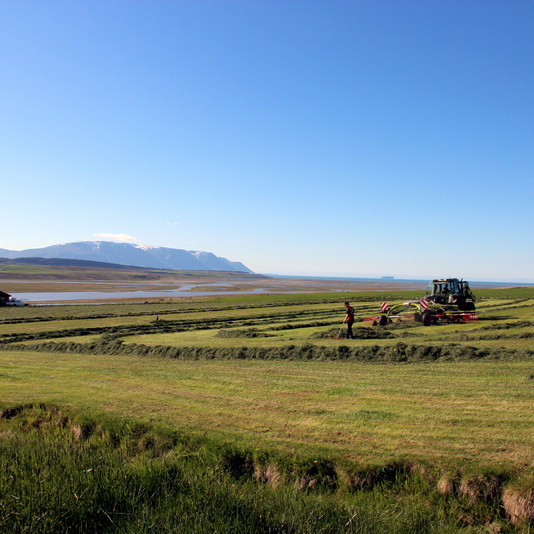 Heyskapur á Ytri-Hofdölum í blíðunni í gær. Mynd:FE