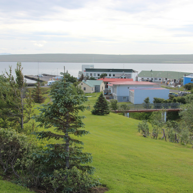 Frá Hvammstanga. Mynd FE