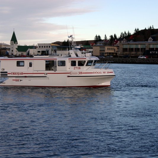 Dögg SU 118. Aðsend mynd.