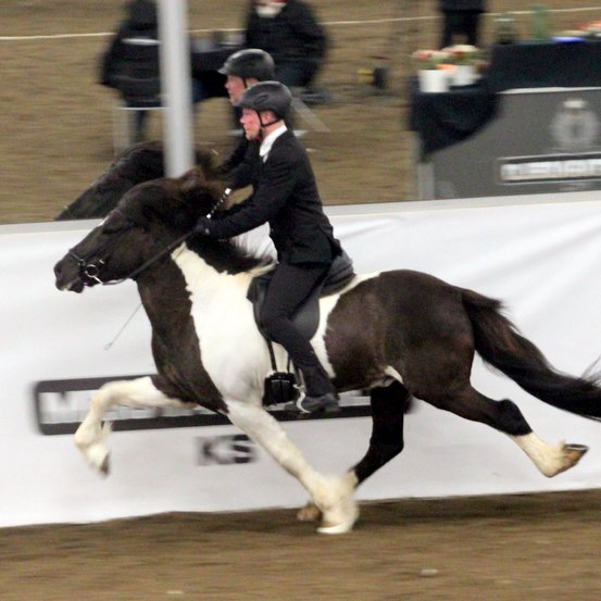 Þórarinn og Þráinn sigruðu í fimmgangi Meistaradeildar KS í gær :: Grípa þurfti til sætaröðun dómara til til að knýja fram sigurvegara