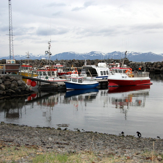 Við höfnina á Hofsósi. Mynd:FE