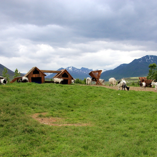 Í Húsdýragarðinum á Brúnastöðum í Fljótum. Mynd:FE