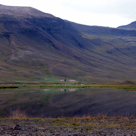 Úr Vatnsdal í Húnavatnshreppi. Mynd:FE