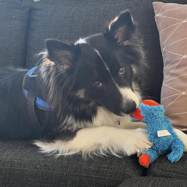 Snúður.MYND AÐSEND