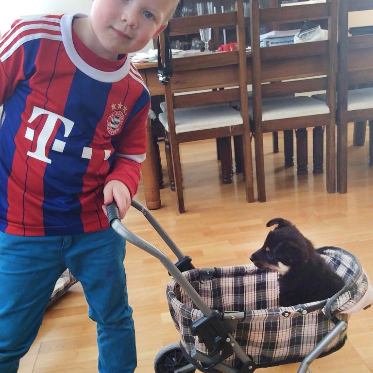 Ísak og sokkaþjófurinn Loppa í góðum gír fyrir 