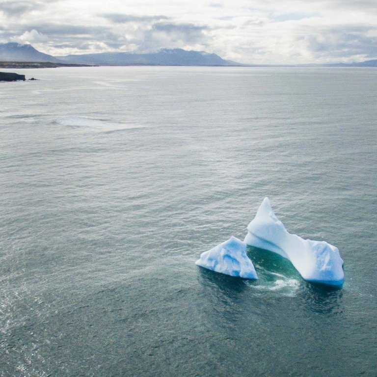 Flottir ísjakar á Húnaflóa