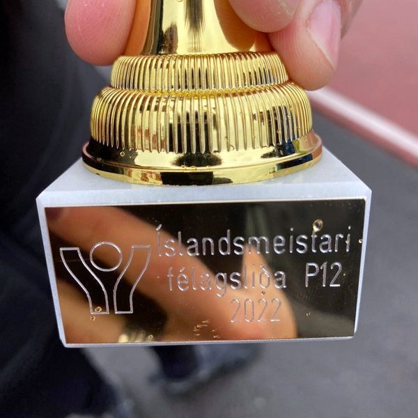 Bikarinn sem þeir Aron Örn Ólafsson, Hlynur Örn Ólason og Valdimar Logi Guðmannsson
lönduðu sem Íslandsmeistarar félagsliða í 12 ára flokki pilta á MÍ um helgina. Mynd af FB-síðu frjálsíþróttadeild Hvatar.