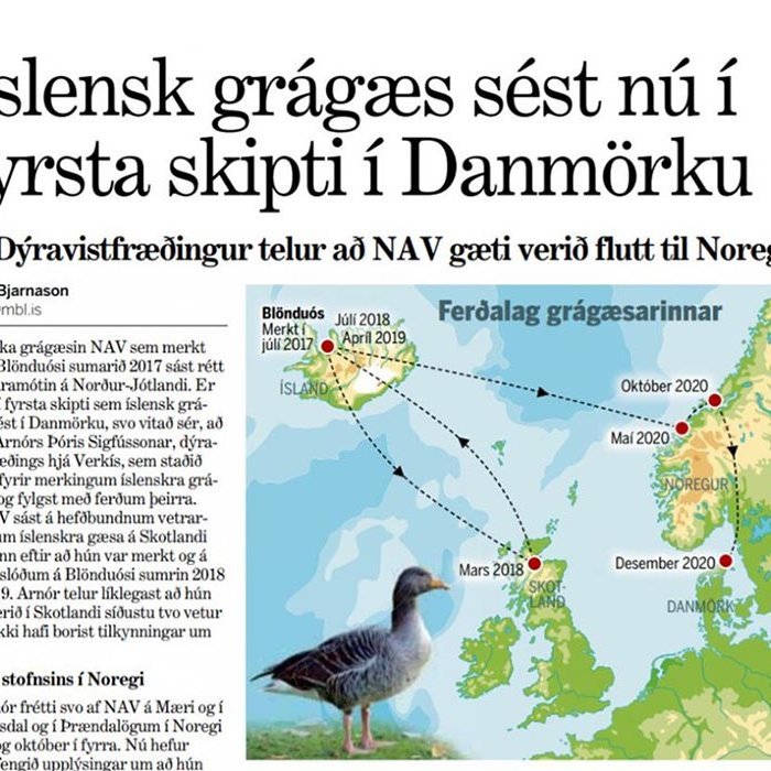 Skjáskot af Morgunblaðinu 8. febrúar 2021.