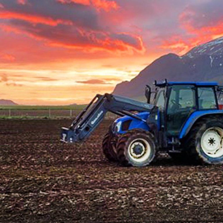 Í sveitinni. Í Feyki vikunnar eru einnig viðtöl við fjóra bændur á Norðurlandi vestra og þrátt fyrir erfiða tíð er enga uppgjöf að heyra á þeim. MYND: BIRGIR ÞÓR HARALDSSON
