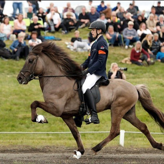 Guðmar og Freyðir frá Leysingjastöðum í úrslitum á Fjórðungsmóti Vesturlands í sumar. Mynd: Kolbrún Grétarsdóttir.