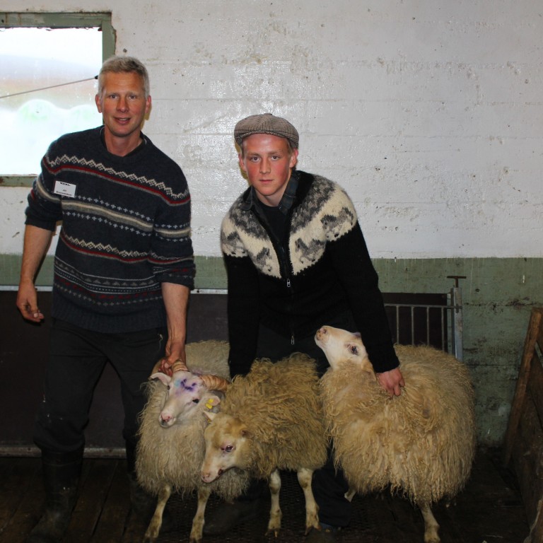 Fjárdagur í Fljótum