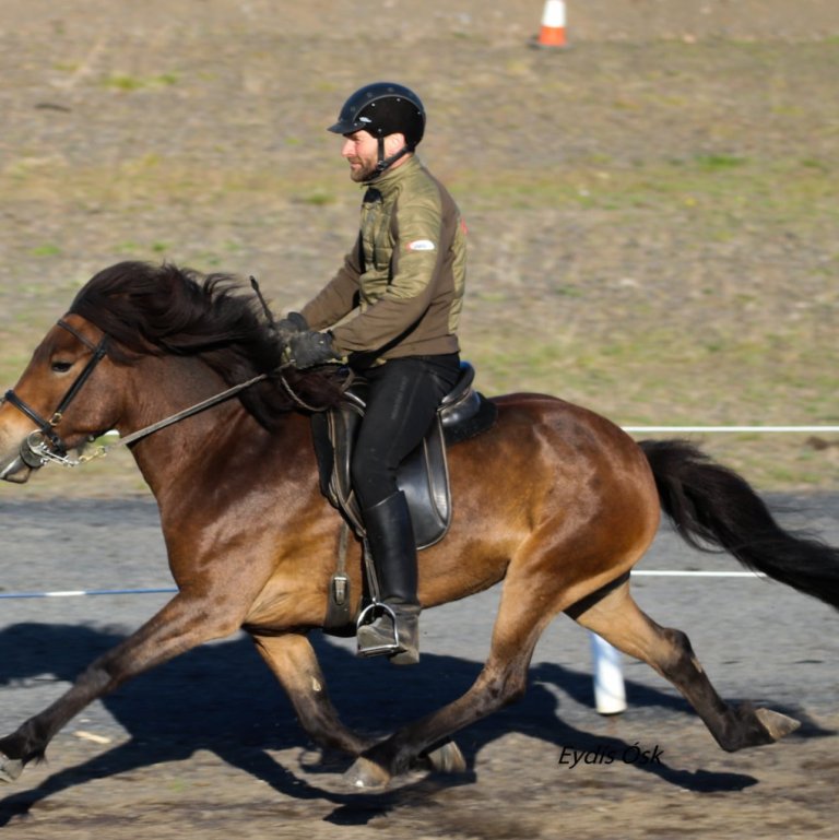 Jóhann Magnússon, knapi ársins í meistaraflokki. Mynd aðsend.