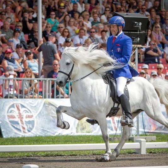 Þrefaldir heimsmeistarar, Jóhann R. Skúlason og Finnbogi frá Minni-Reykjum. Mynd: LHhestar.is.
