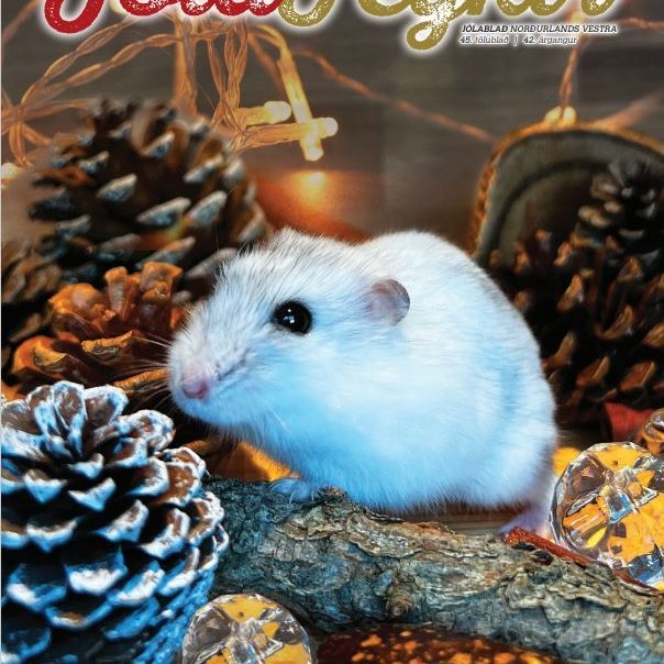 Forsíða Jólablaðs Feykis 2022.