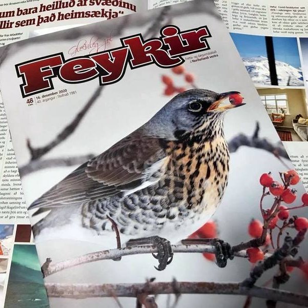 Síðasta tölublað Feykis á árinu er komið út