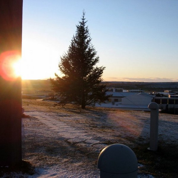 Jólatréð við Blönduósskirkju. Mynd:blonduos.is