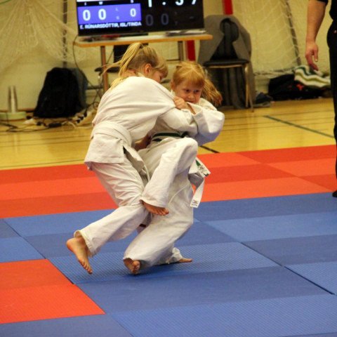 Upprennandi júdósnillingar. Mynd: Tindastoll.is.