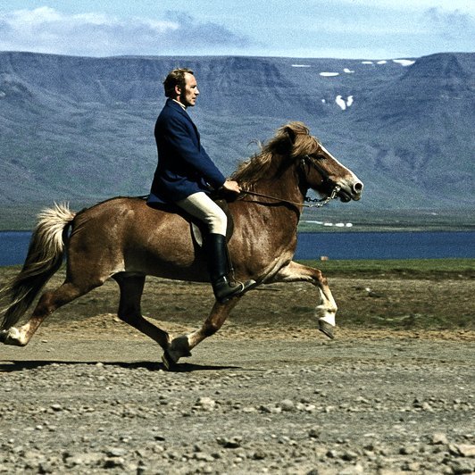 Myndatexti: Sigurfinnur Þorsteinsson á Núpi frá Kirkjubæ, sigurvegara í A-flokki gæðinga á landsmótinu 1974. Sigurfinnur er verðugur fulltrúi nýrrar kynslóðar keppnismanna sem fram kom um 1970; keppandi á Evrópumótum o.m.fl. Mynd úr safni SÍH úr Íslenski hesturinn, útg. MM og SÍH, 2004, bls. 260. Ljm. Friðþj. Þorkelss.