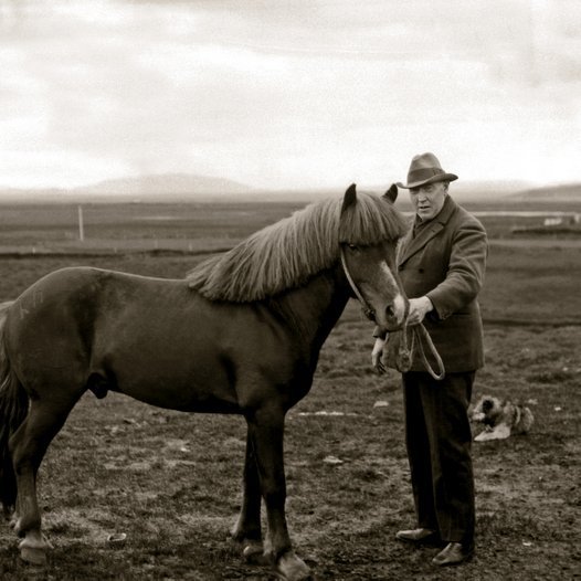 Þekktur félagshestur: Nasi 88 frá Skarði, fæddur 1918 hjá Matthíasi Jónssyni, Skarði í Gnúpverjahreppi. Sýndur við Ölfusárbrú 1922 og 1927 og hlaut 1. verðlaun í bæði skiptin, hlaut 1. verðlaun fyrir afkvæmi í Stafholtsrétt 1927. Hrfél. Gnúpverjahrepps keypti Nasa árið 1928 og notaði hann til kynbóta til ársins 1940. Nasi reyndist farsæll kynbótahestur, var oft sýndur og hlaut ætíð fyrstu verðlaun. Í hestinn heldur Theodór Arnbjörnsson hrossaræktarráðunautur BÍ. Úr bókinni Íslenski hesturinn, bls. 206, útg. MM og SÍH 2004, ljm.: Ólafur Magnússon.
