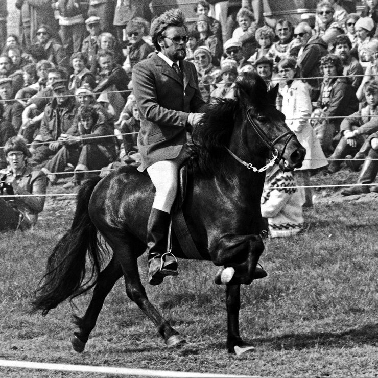 Hlynur frá Akureyri, sigurvegari í B-flokki gæðinga á landsmótinu 1978. Knapi: Eyjólfur Ísólfsson, síðar yfirreiðkennari Hólaskóla um árabil. Þeir sigruðu einnig töltkeppni landsmótsins með hæstu einkunn sem gefin hafði verið. Hesturinn fór jafnframt í kynbótadóm sem geldingur og afkv. föður síns Sörla 653 frá Sauðárkróki og var áberandi í heiðursverðlaunasýningu hans á mótinu þar sem Sörli hlaut Sleipnisbikarinn. Mynd úr safni SÍH, ljm. Kristján Einarsson.