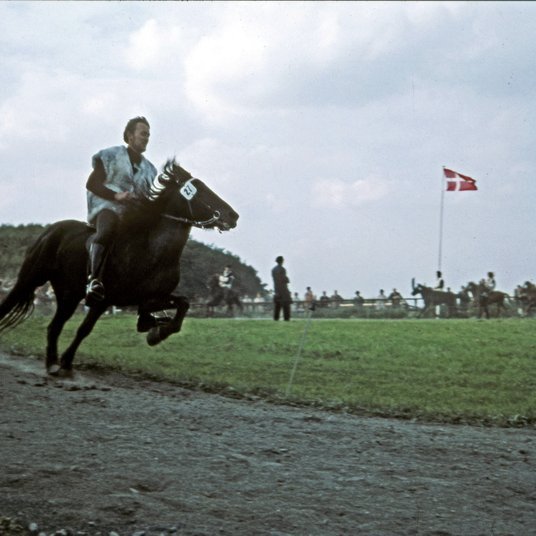 Reynir Aðalsteinsson (1944-2012) á Stjarna frá Svignaskarði á fyrsta Evrópumótinu, árið 1970. Reynir var fremsti knapi Íslendinga á upphafsskeiði hestaíþróttanna á Íslandi og hlaut fyrstur manna gráðu tamningameistara FT árið 1978. Hann markaði djúp spor með lífsstarfi sínu í hestamennsku. Mynd úr safni SÍH, Friðþj.Þorkelss.