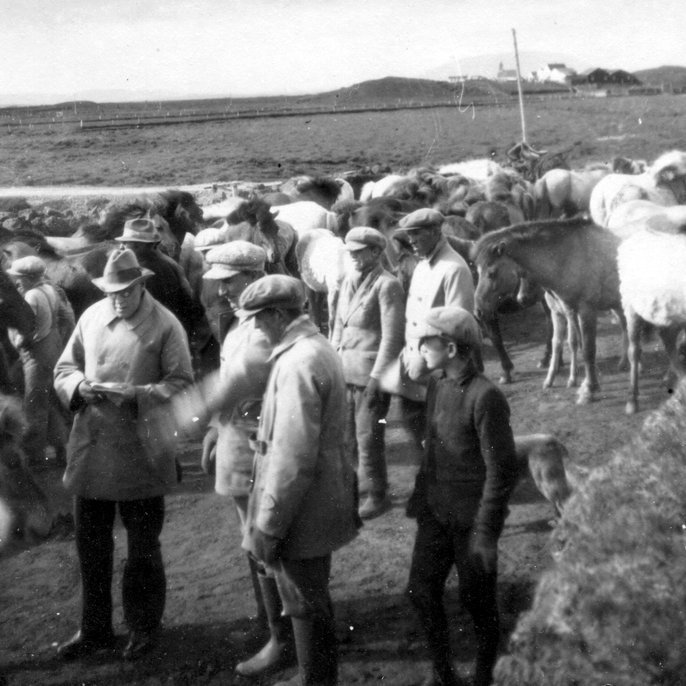 Theodór Arnbjörnsson hrossaræktarráðunautur BÍ við dómstörf á Suðurlandi um 1930. Ljósmynd: Einkasafn ThA, Sögusetur íslenska hestsins.