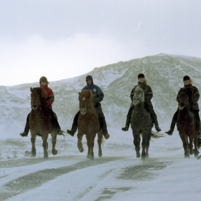 Vetrarútreiðar í upplöndum höfuðborgarsvæðisins. Mynd úr safni SÍH, ljm. Sigurður Sigmundsson.