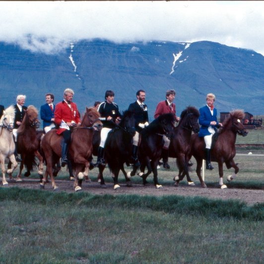 Landsmót á Vindheimamelum 1982, hópreið efstu gæðinga í A-flokki. Ljm. JTS.