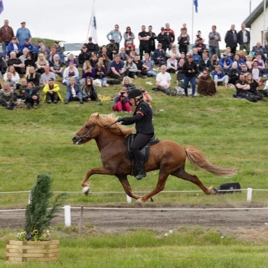 Kalsi frá Þúfum og Mette Manseth. Mynd: Eiðfaxi.
