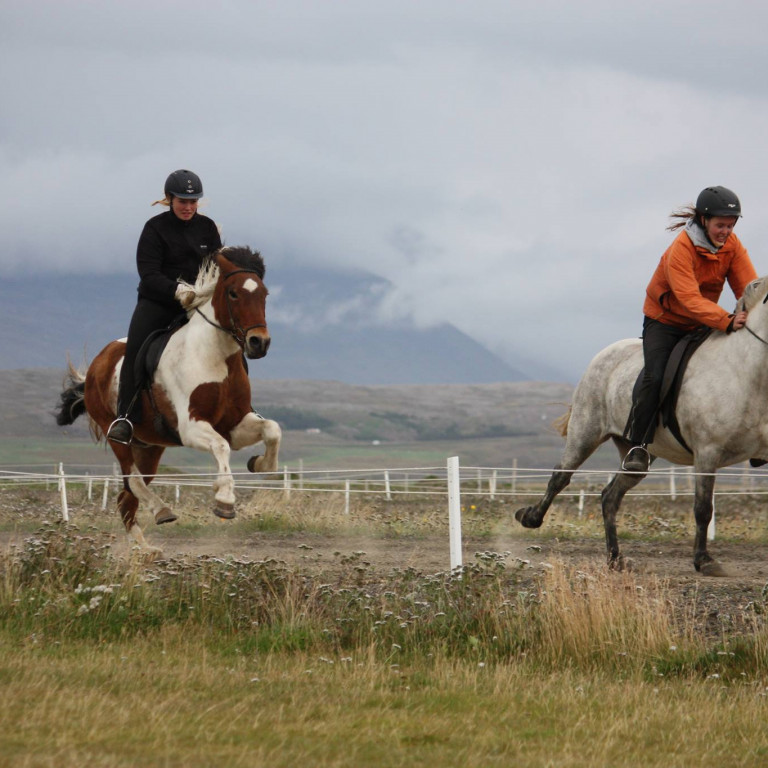 Guðrún Harpa á Skapta og Ragnheiður Petra á Grána. Mynd: Hildur Claessen.