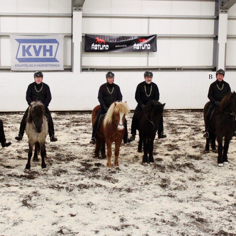 Karlatölt Norðurlands