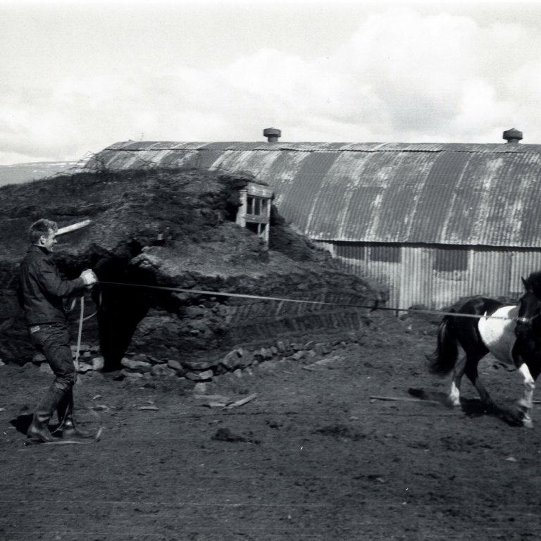 Myndatexti: Tamningar í Torfgarði árið 1965. Friðrik Stefánsson í Glæsibæ og Sigurjón Jónasson á Syðra-Skörðugili eru að frumtemja á vegum Stíganda. Ljósmynd úr safni SÍH/EEG.