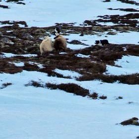 Mynd Jónína Bragadóttir.